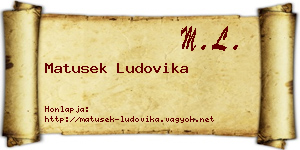 Matusek Ludovika névjegykártya